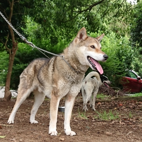 f0078320_23403611.jpg