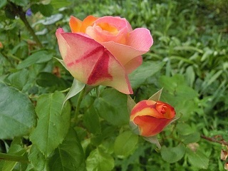 e0234924_06063117.jpg