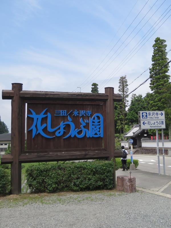 d0352628_1057329.jpg