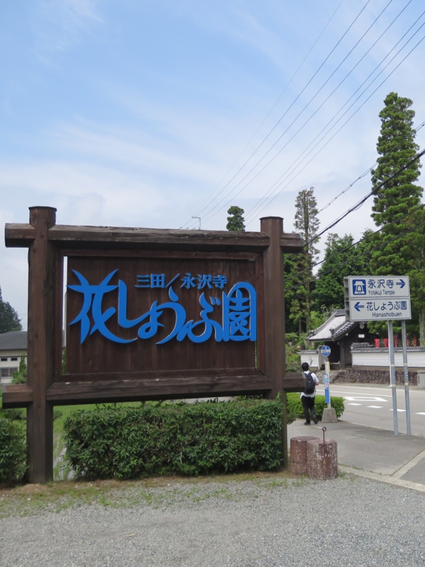 永沢寺の「花しょうぶ園」・・・_d0352628_1057329.jpg