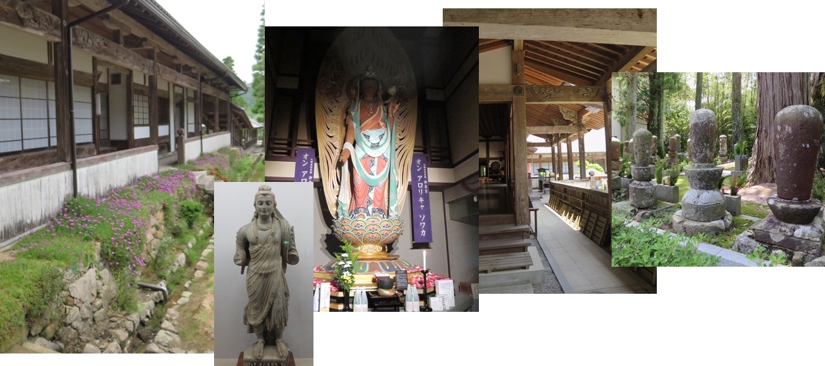 永沢寺の「花しょうぶ園」・・・_d0352628_15251862.jpg