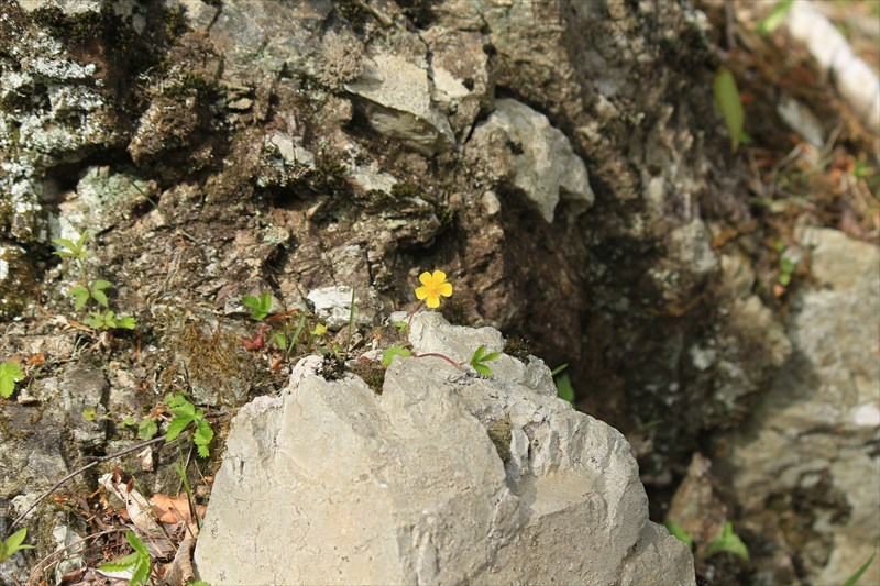a0379133_20121245.jpg