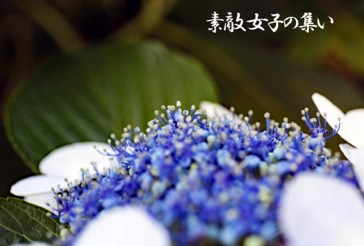 a0245136_13124813.jpg