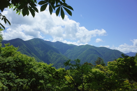 a0287336_22202941.jpg