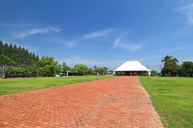 a0242438_20304499.jpg