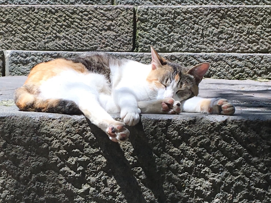 b0330040_20150000.jpeg