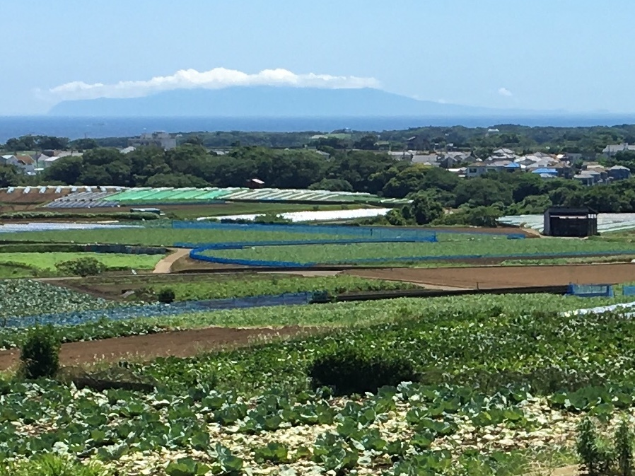 2018年6月の三浦ドライブ_b0330040_20474378.jpeg