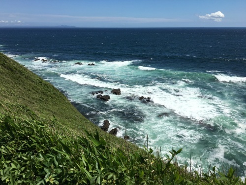 b0330040_20514256.jpeg