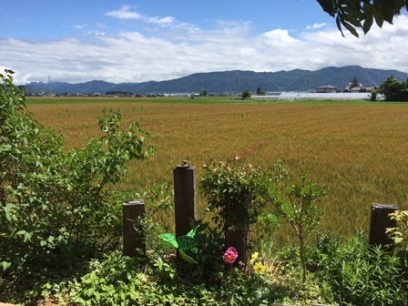 a0272241_14263729.jpeg