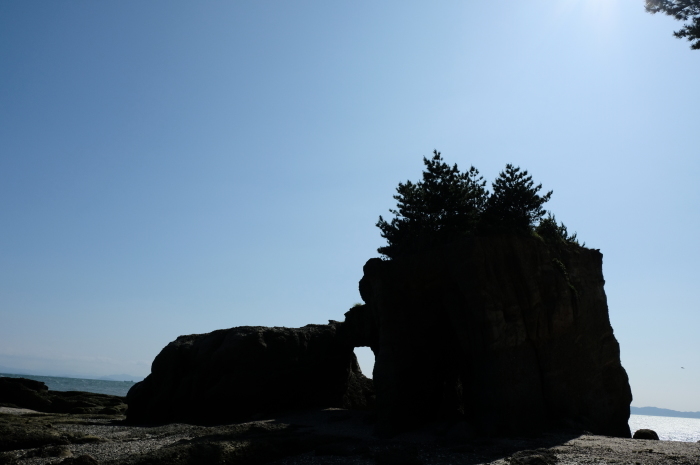 ”本山岬海岸エリア～くぐり岩～...6/12tue\"_d0153941_18222274.jpg