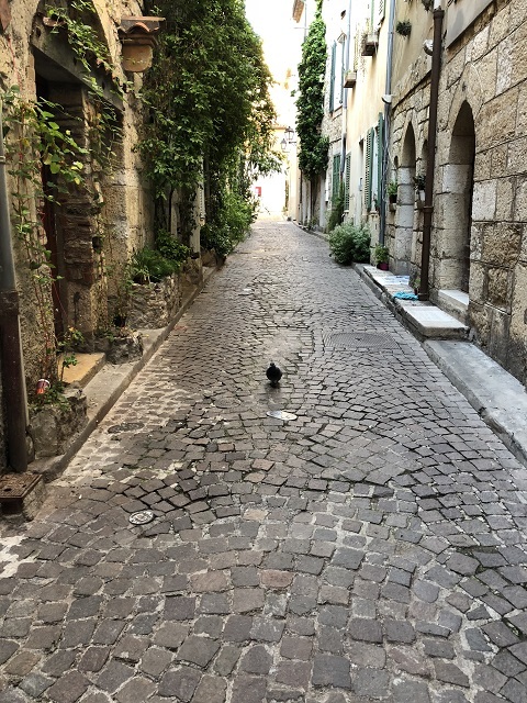 f0378046_17172087.jpg