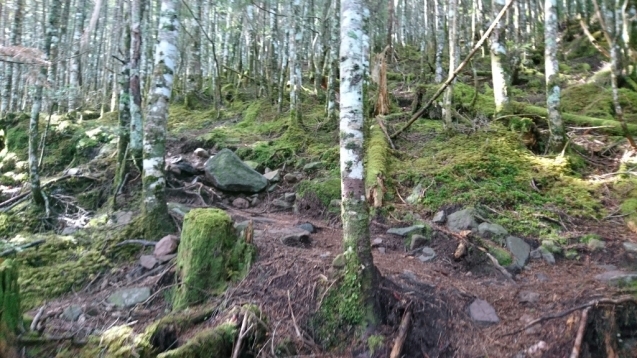 b0148050_08045970.jpg