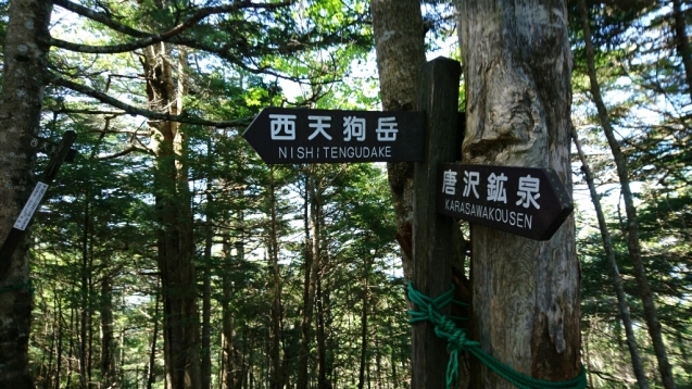 b0148050_08050154.jpg