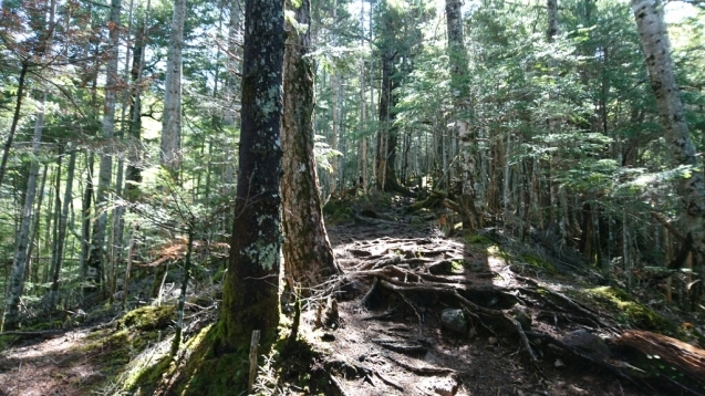 b0148050_08050664.jpg