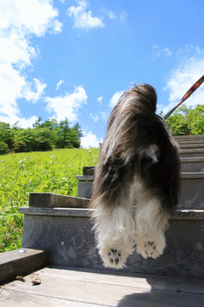 c0145250_09172113.gif