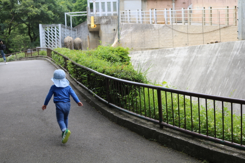 多摩動物公園_e0372651_15370142.jpg