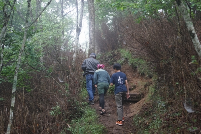 梅雨と山＠湯ノ沢峠避難小屋・大蔵高丸 2017.07.01(土)～02(日)_f0344554_21255414.jpg