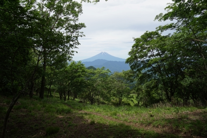 梅雨と山＠湯ノ沢峠避難小屋・大蔵高丸 2017.07.01(土)～02(日)_f0344554_21295037.jpg