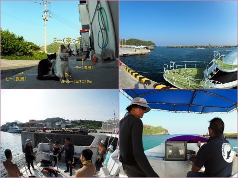 6月12日 天気・海況回復 ウネリあり_d0113459_16491100.jpg