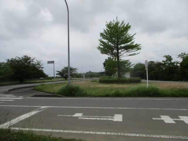 c0080863_10264581.jpg