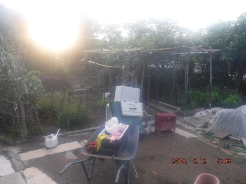 d0007071_20183970.jpg