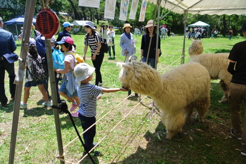 大潟かっぱ祭り、大成功！！_b0164376_15413413.jpg