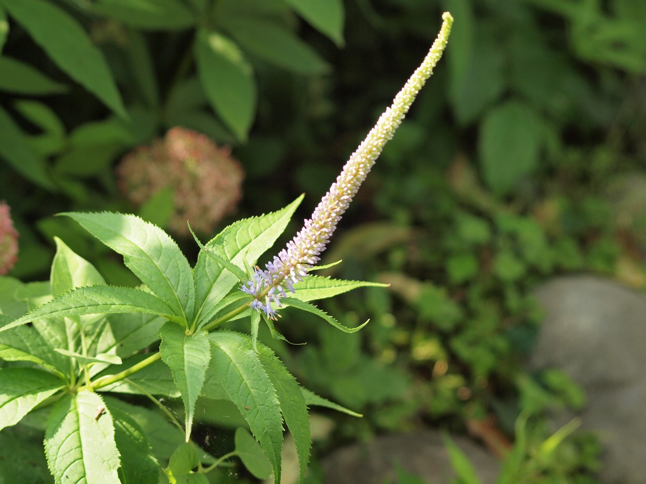 d0054276_20532742.jpg