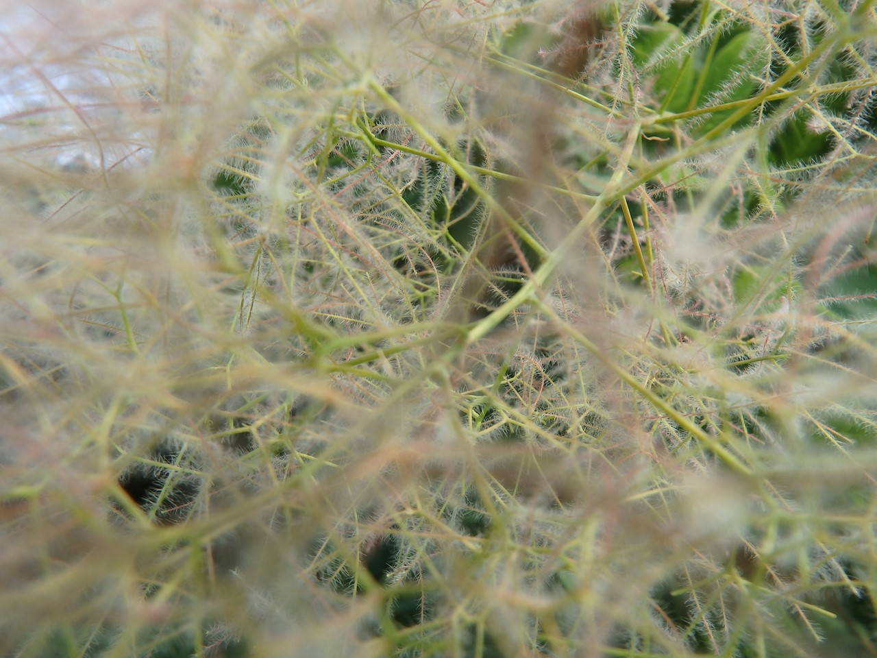 d0054276_20552391.jpg