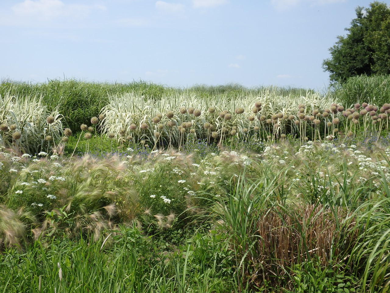 d0054276_20562656.jpg