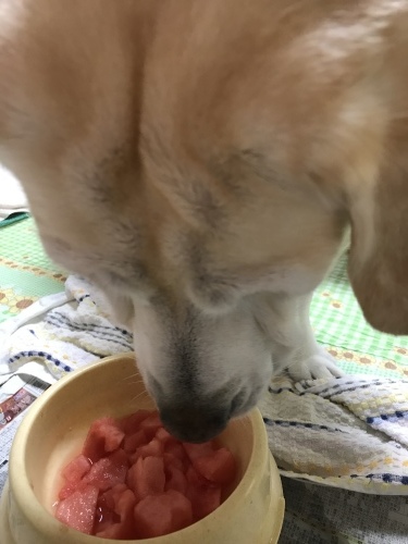 f0315081_17114450.jpeg