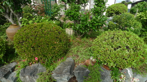 c0212083_18280235.jpg