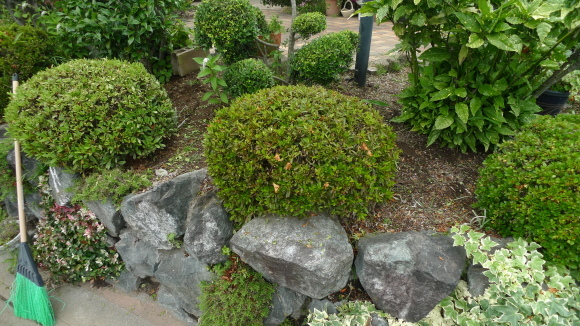 c0212083_18283173.jpg