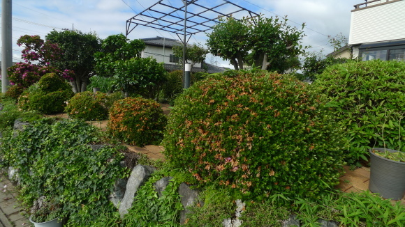 c0212083_18290420.jpg