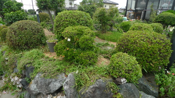 c0212083_18293633.jpg
