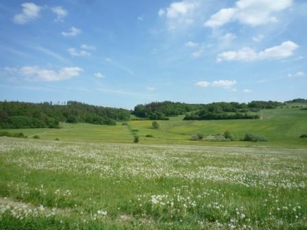 Nationalpark Kellerwald-Edersee_c0076387_23073306.jpg