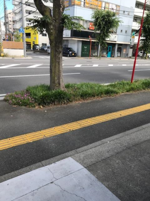 a0113889_14355312.png