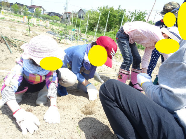 畑日和！みんなで山大農学部市民交流農園へ！_d0357289_18082599.jpg