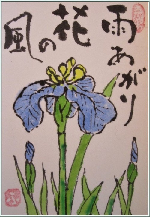 絵手紙 花菖蒲 ね む り 観 音 絵手紙 花菖蒲 ね む り 観 音