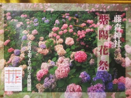 藤森神社 紫陽花祭 京都市伏見区 Y S 通信 季節を彩る風物詩