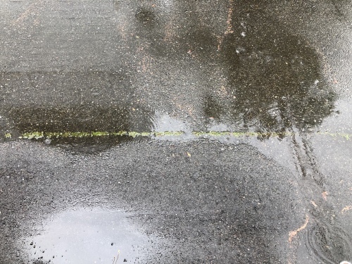 f0215094_16071790.jpeg