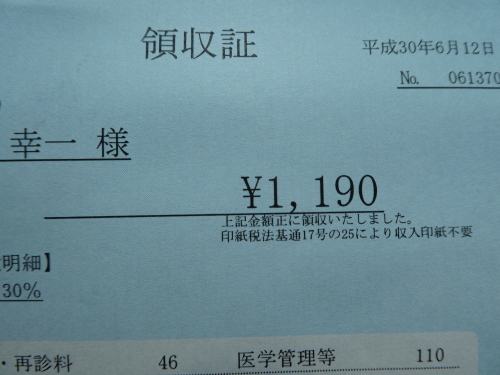 c0108198_15542826.jpg