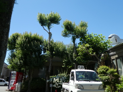 c0108198_15545853.jpg