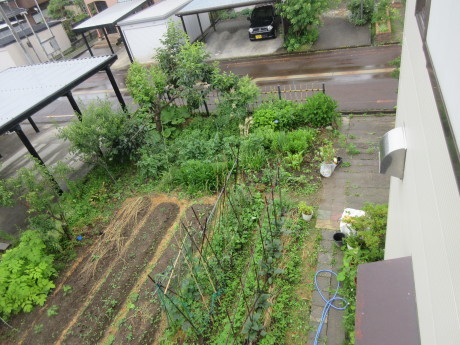 a0203003_19375851.jpg