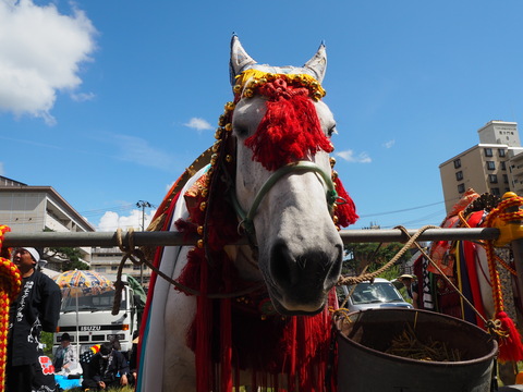 チャグチャグ馬コの旅2018（3）馬コたち おつかれさまでした！！_c0212604_6202279.jpg