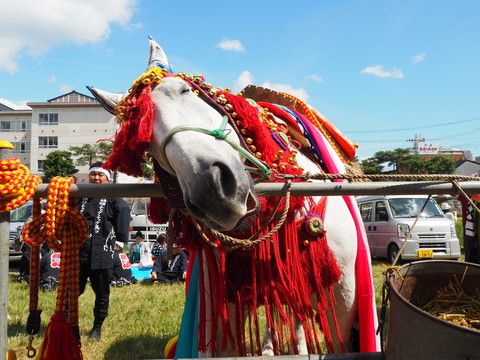 c0212604_6205327.jpg