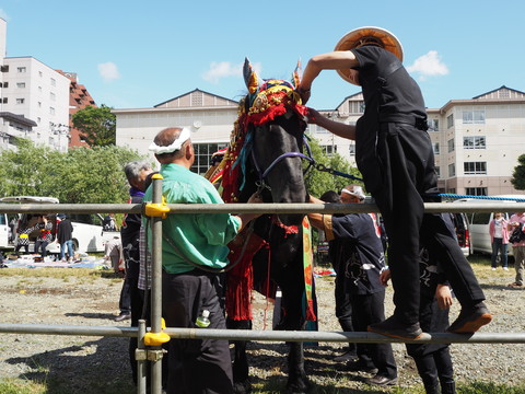 チャグチャグ馬コの旅2018（3）馬コたち おつかれさまでした！！_c0212604_622144.jpg