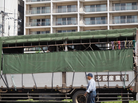 チャグチャグ馬コの旅2018（3）馬コたち おつかれさまでした！！_c0212604_6252591.jpg