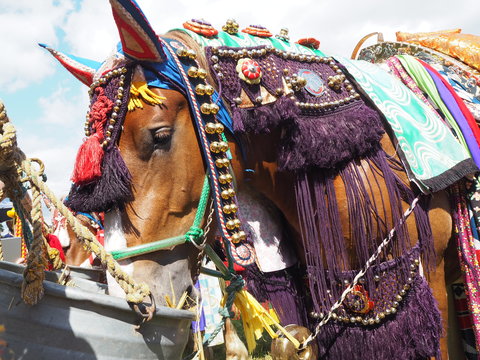 チャグチャグ馬コの旅2018（3）馬コたち おつかれさまでした！！_c0212604_6261690.jpg