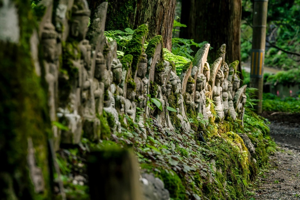 緑の頃、慈光寺_b0128609_11543091.jpg