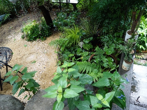 d0179410_18162135.jpeg